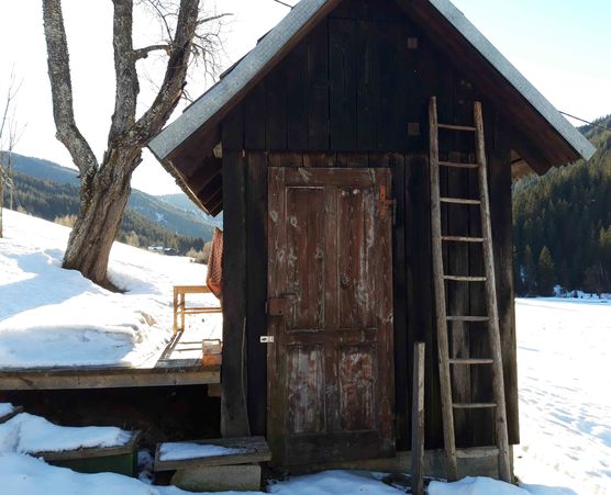 Bild von Siggi2 Bild von Siggi2