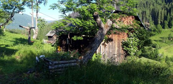 Bild von Siggi2 Bild von Siggi2