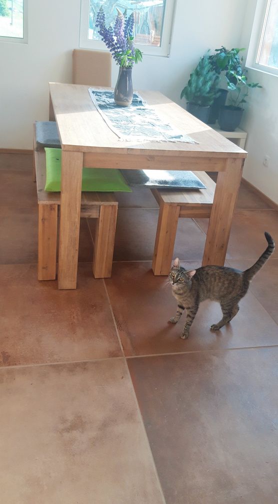 ...und hier haben wir ...und hier haben wir