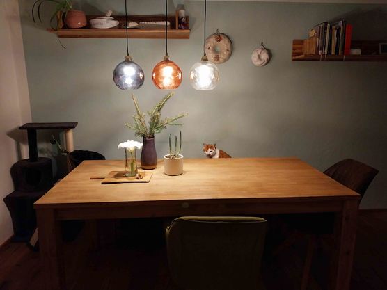 Bild von Siggi2 Bild von Siggi2