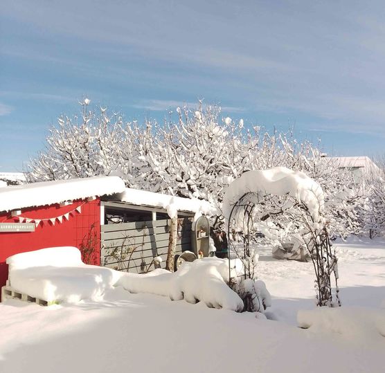 Bild von dianawinkel Bild von dianawinkel