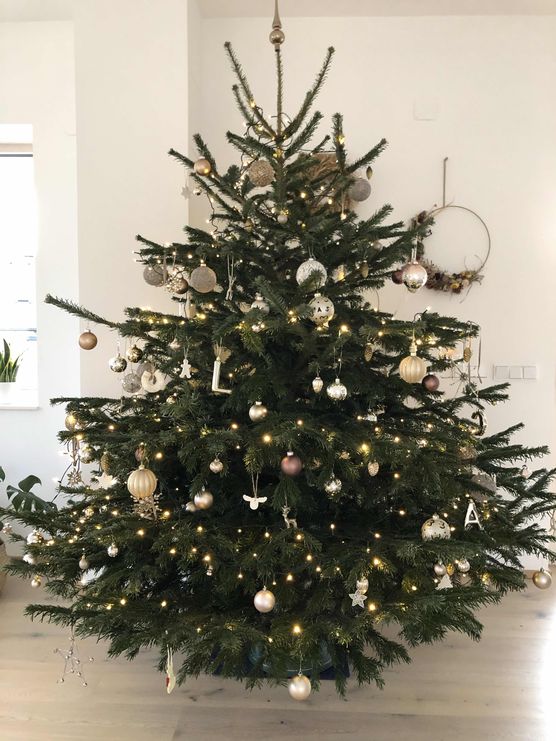 Bild von Christinaandtheboys Bild von Christinaandtheboys