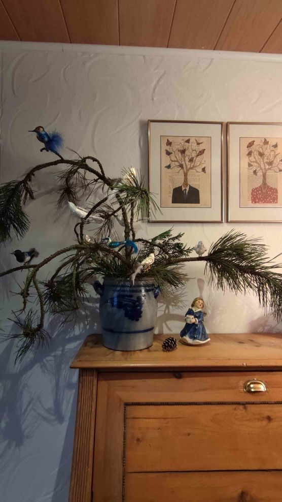 Bild von Bäumchen 34 Bild von Bäumchen 34