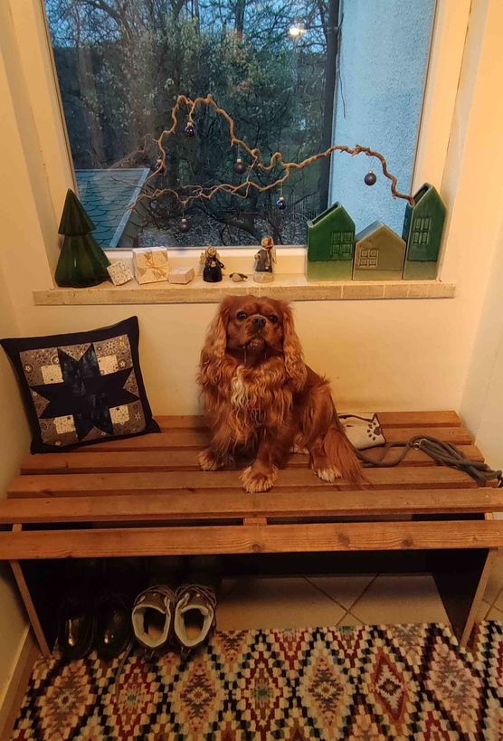 Bild von Bäumchen 34 Bild von Bäumchen 34