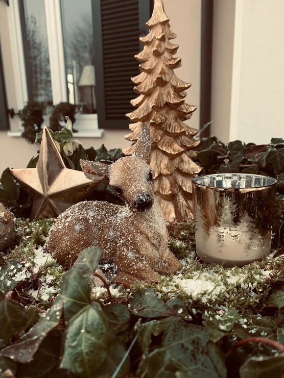 Die ersten Rehe halten Die ersten Rehe halten