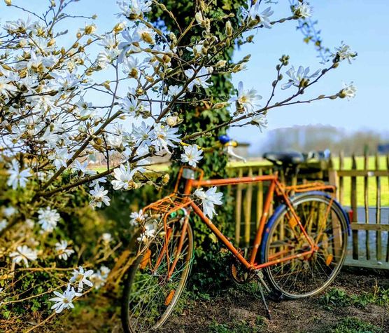 Bild von Löni Bild von Löni