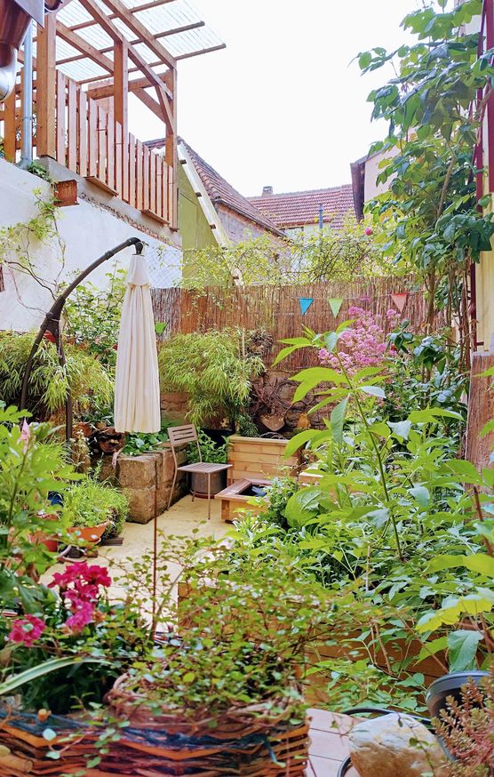 Bild von crilu Bild von crilu