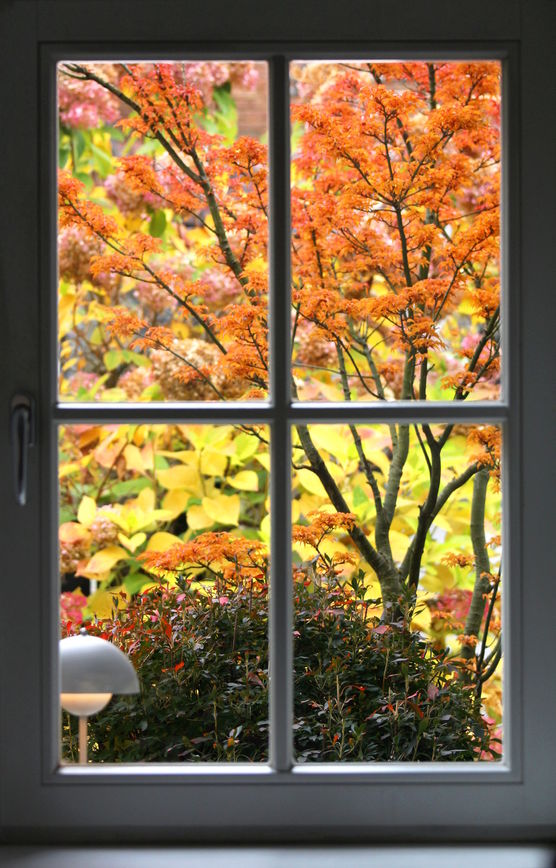 Fenster zum Hof - Fenster zum Hof -