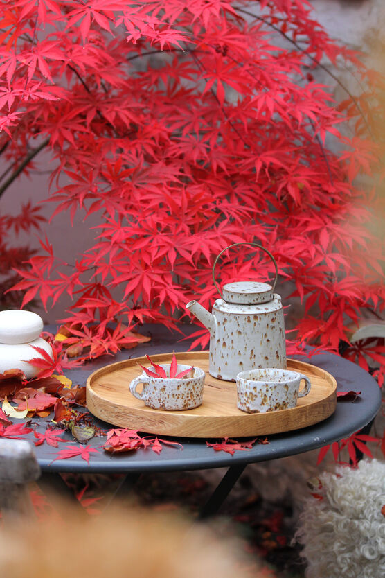 Purple rain - die Purple rain - die