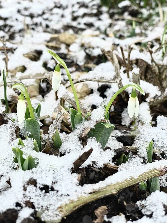 Bild von natalie060597 Bild von natalie060597