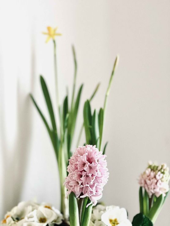 Bild von natalie060597 Bild von natalie060597