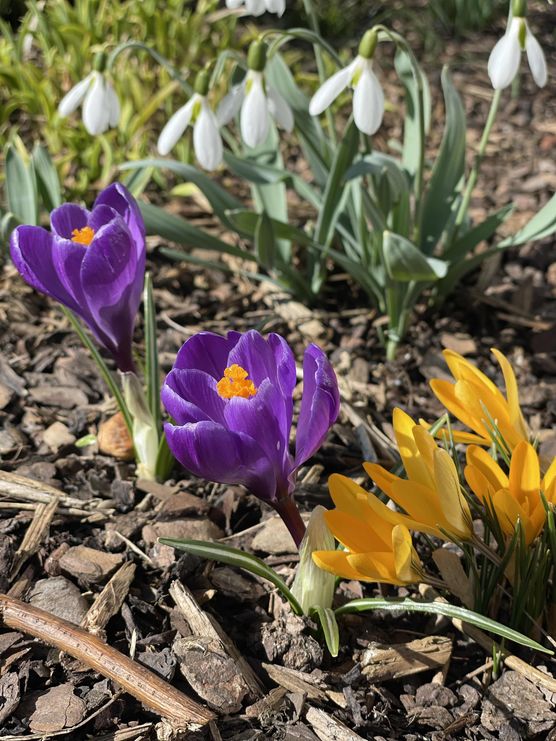 Bild von natalie060597 Bild von natalie060597