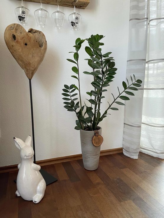 Bild von natalie060597 Bild von natalie060597