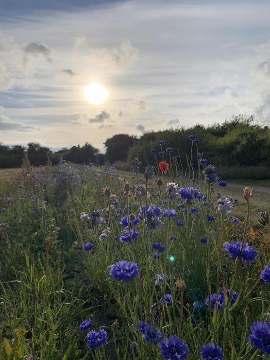 Bild von Anilein79 Bild von Anilein79