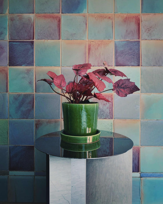 Bild von Andree_b_punkt Bild von Andree_b_punkt