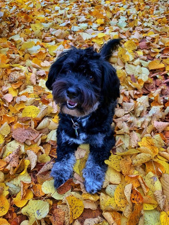 Bild von Andree_b_punkt Bild von Andree_b_punkt