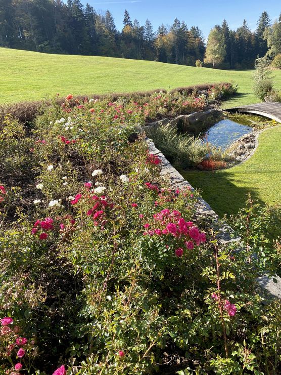 Bild von MySwissCountryHome Bild von MySwissCountryHome