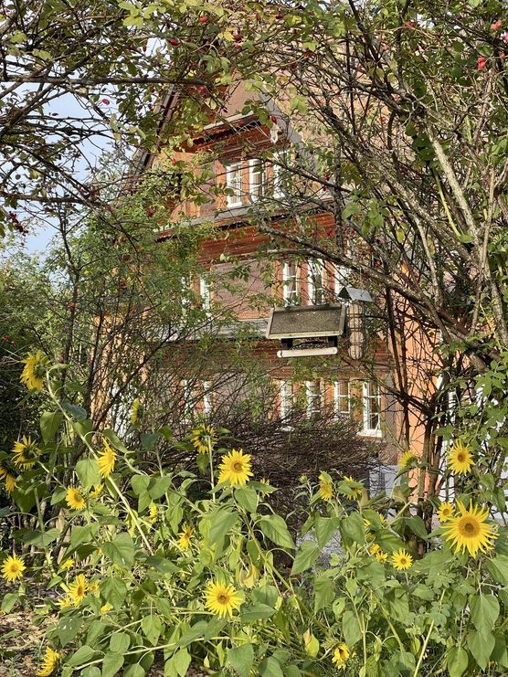 Bild von MySwissCountryHome Bild von MySwissCountryHome