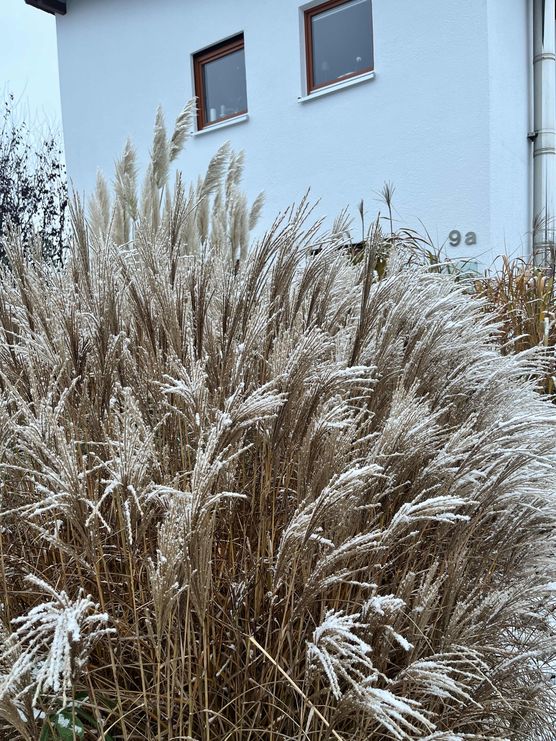 Bild von Mone2807 Bild von Mone2807