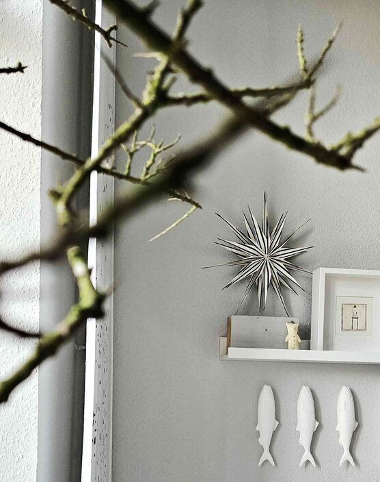 Bild von suzysmile Bild von suzysmile