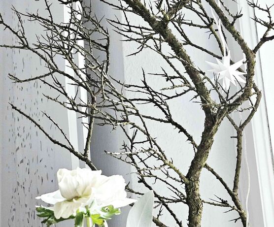 Bild von suzysmile Bild von suzysmile