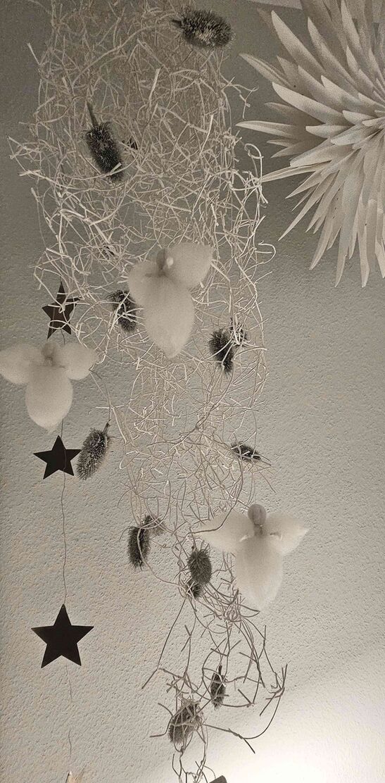 Bild von suzysmile Bild von suzysmile