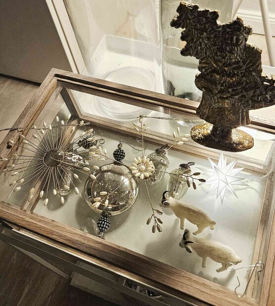 Bild von suzysmile Bild von suzysmile