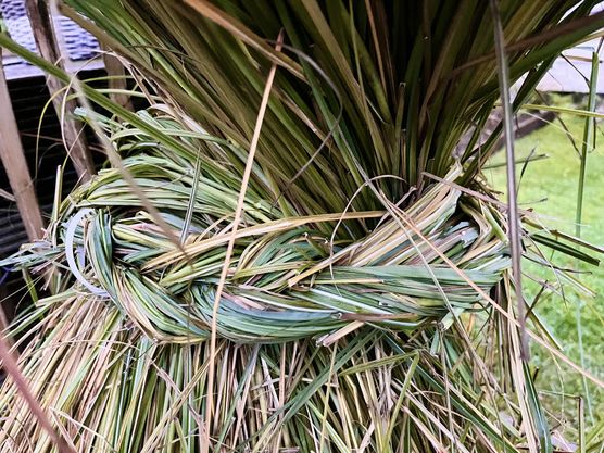 Bild von uli59846 Bild von uli59846