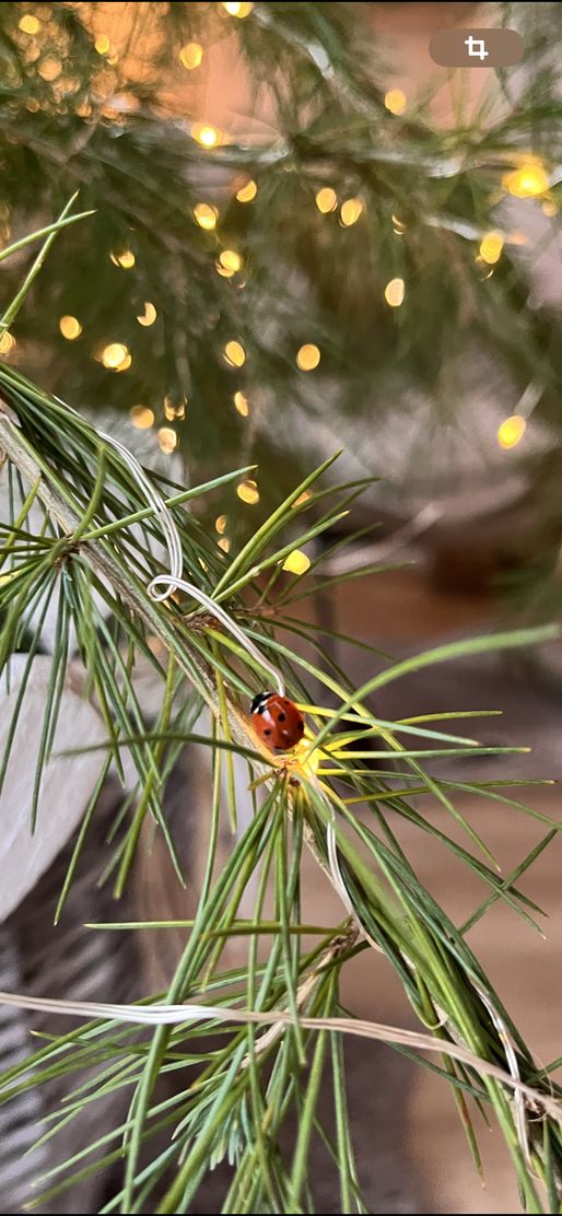 Bild von uli59846 Bild von uli59846