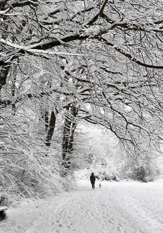 Bild von uli59846 Bild von uli59846