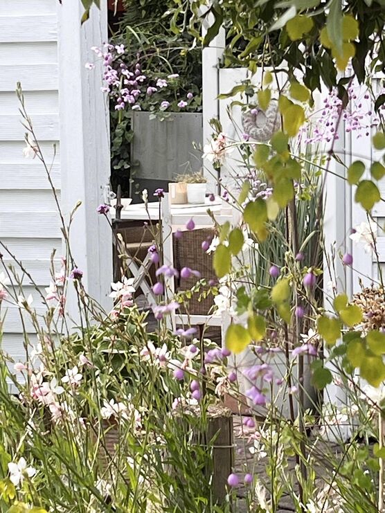 Bild von uli59846 Bild von uli59846