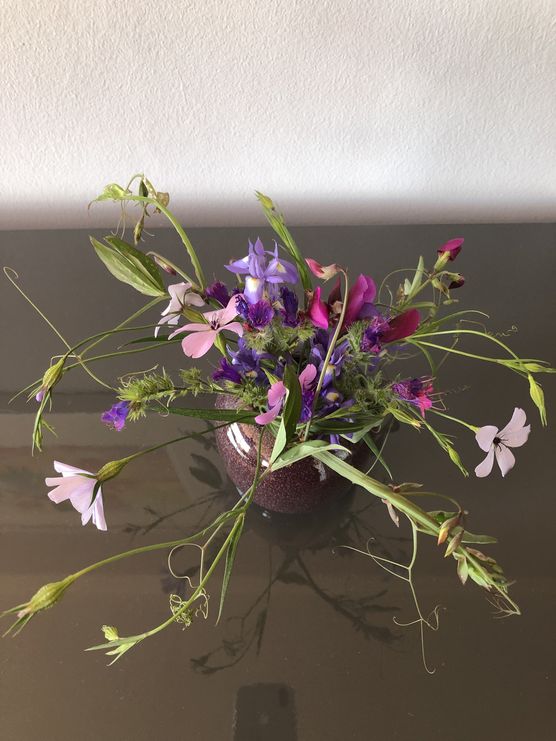 rosa, flieder, lila, pink rosa, flieder, lila, pink