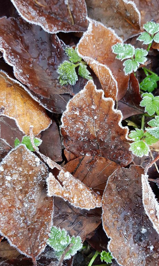 Bild von cosi.living Bild von cosi.living