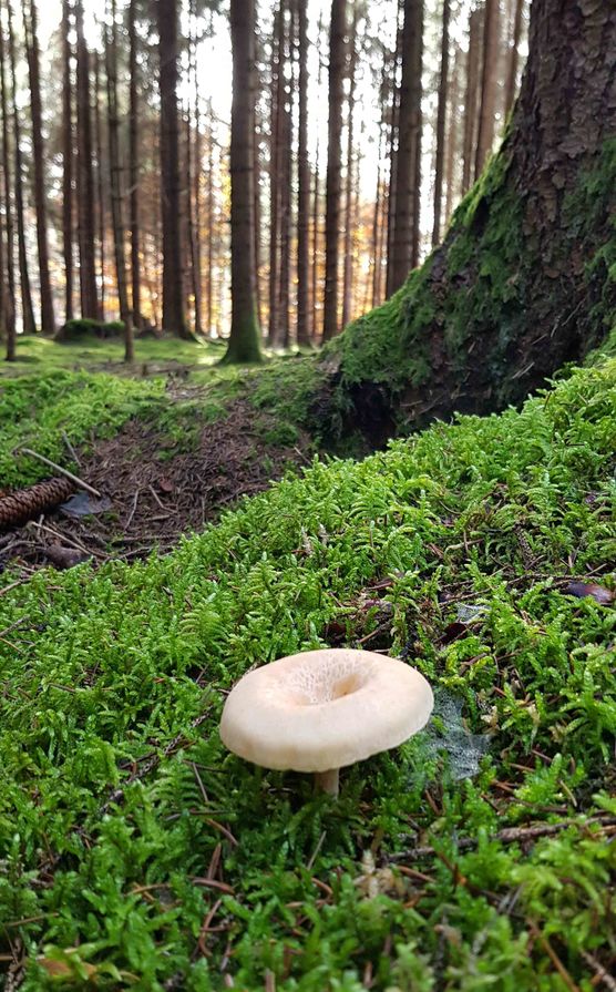 Bild von cosi.living Bild von cosi.living