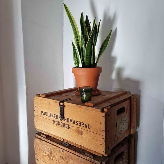 Bild von cosi.living Bild von cosi.living