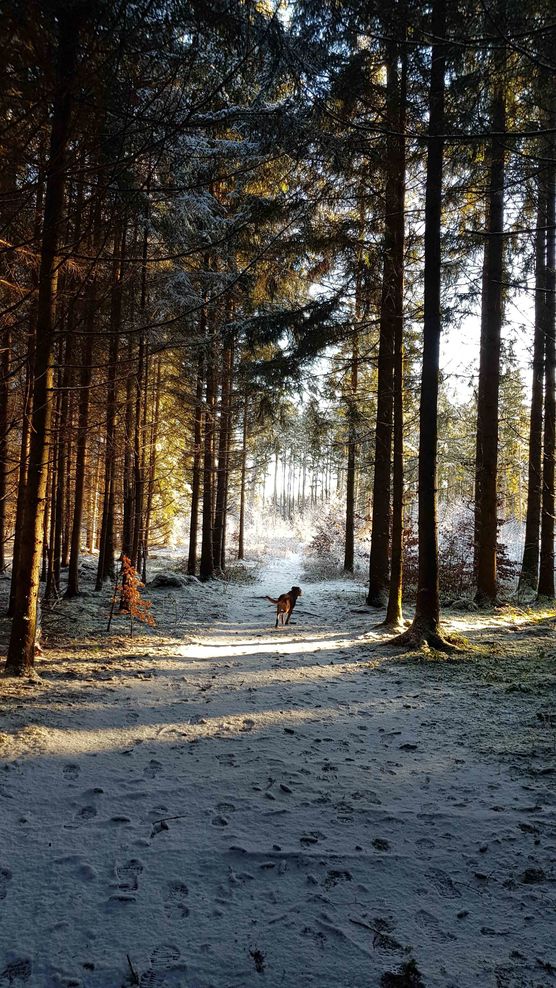 Bild von cosi.living Bild von cosi.living