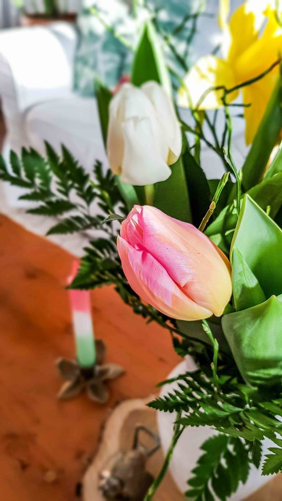 Bild von cosi.living Bild von cosi.living