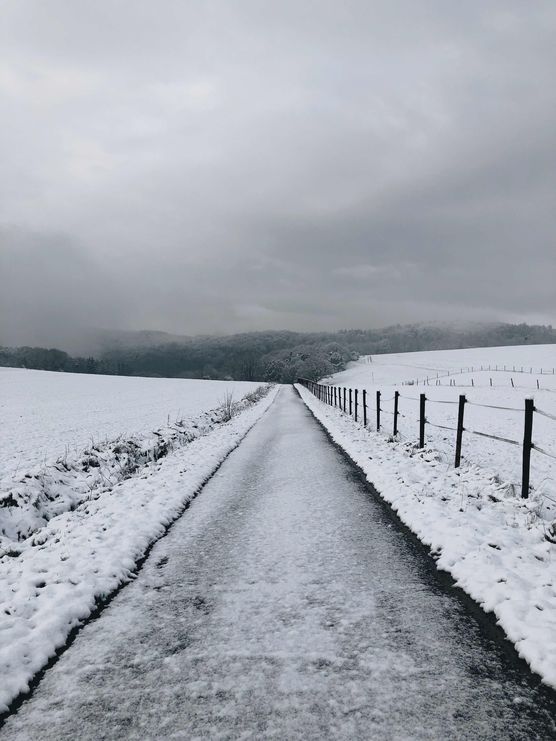 Bild von Herzstück Bild von Herzstück