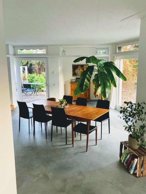 Bild von Christstern Bild von Christstern