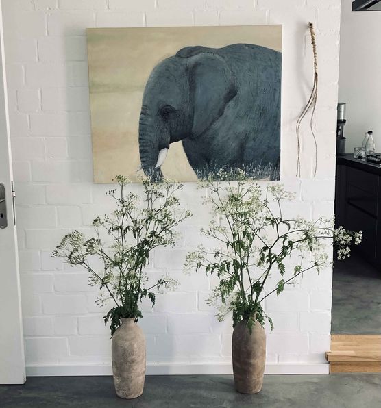 Bild von Christstern Bild von Christstern