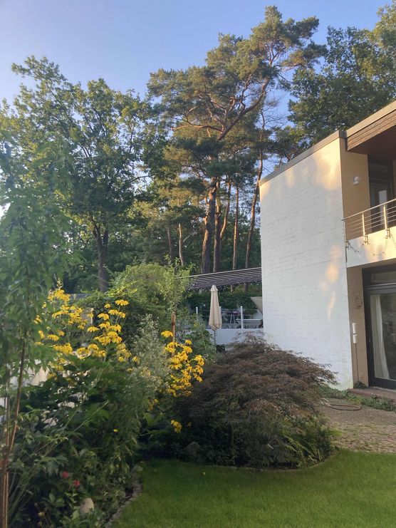 Bild von Christstern Bild von Christstern