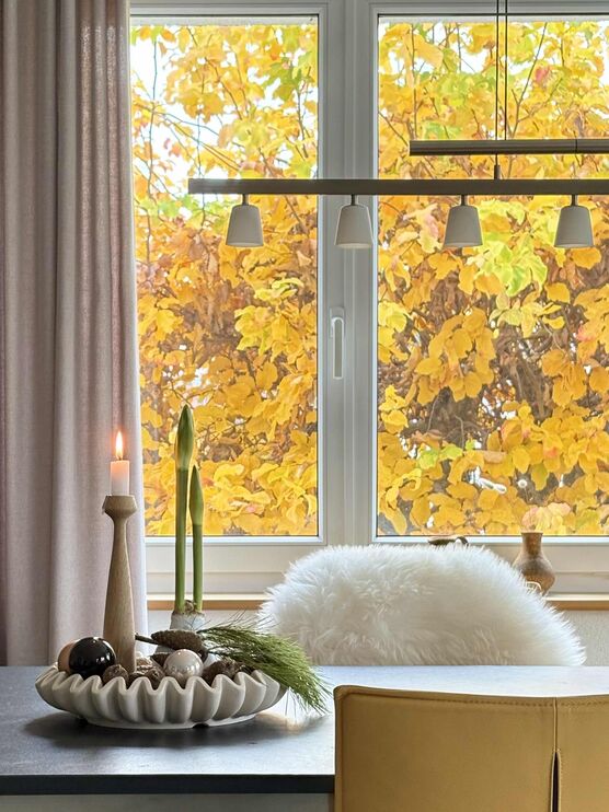 Bild von swimm02 Bild von swimm02