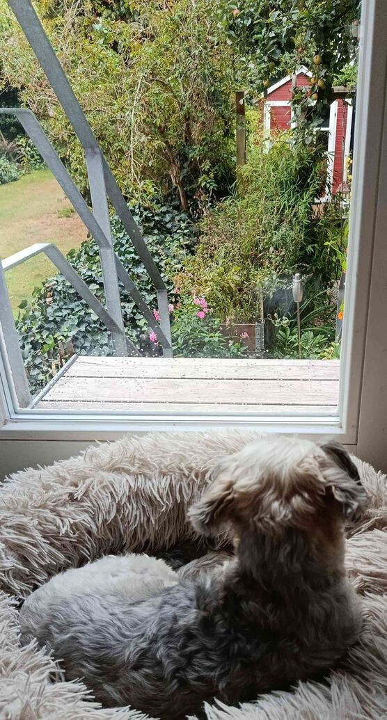 Bild von Bootsfrau Bild von Bootsfrau