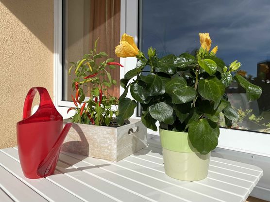 Bild von Schneekönigin Bild von Schneekönigin