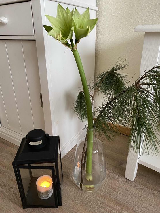 Bild von Schneekönigin Bild von Schneekönigin