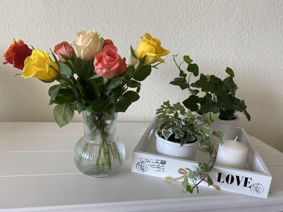 Bild von Schneekönigin Bild von Schneekönigin