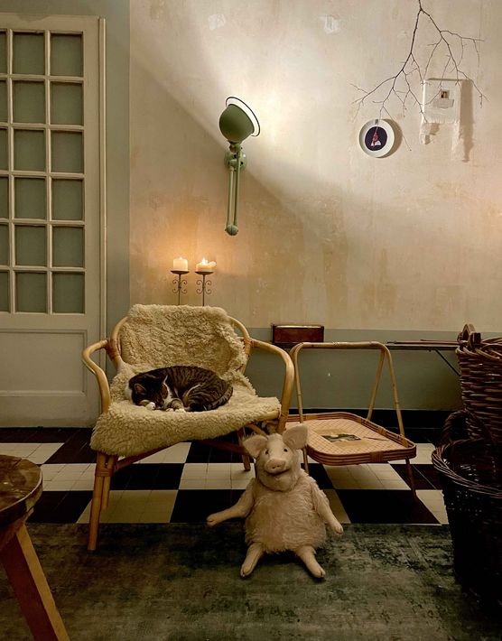 Bild von GriselliPupelli Bild von GriselliPupelli