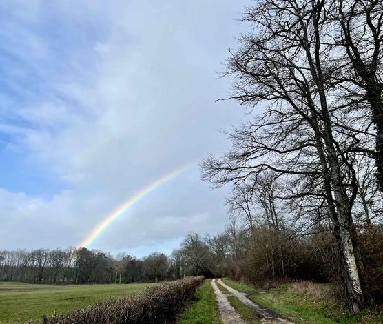 Bild von GriselliPupelli Bild von GriselliPupelli