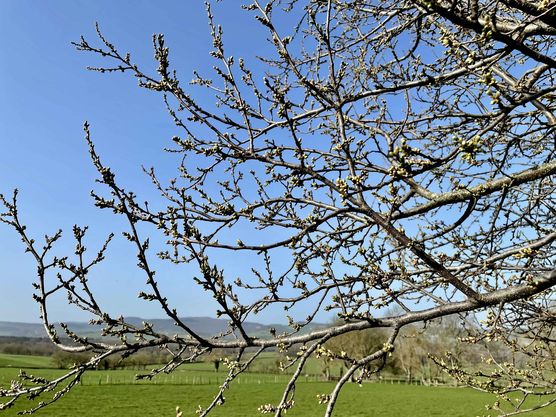 Bild von GriselliPupelli Bild von GriselliPupelli