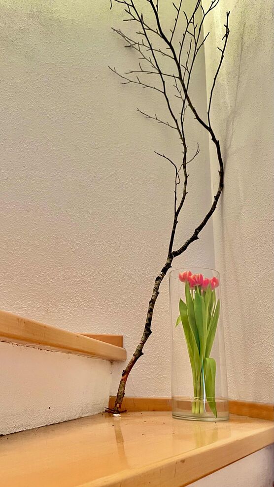 Bild von Mias Wohnzimmer Bild von Mias Wohnzimmer